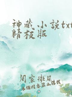 神藏小说txt精校版