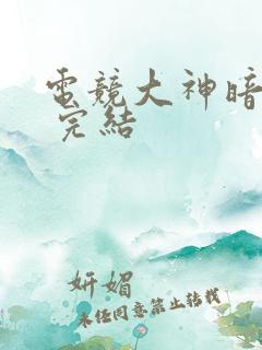 电竞大神暗恋我 完结