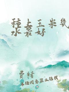 种上玉米几天浇水最好