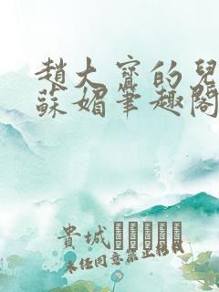 赵大宝的儿媳妇苏媚笔趣阁