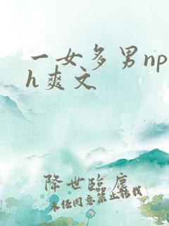 一女多男np高h爽文