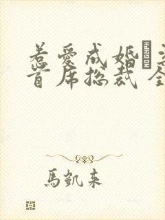 惹爱成婚·染指首席总裁 全文阅读