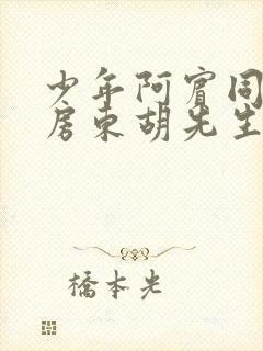 少年阿宾同人之房东胡先生