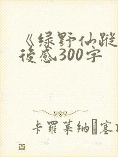 《绿野仙踪》读后感300字