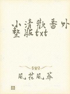 小清欢番外篇完整版txt