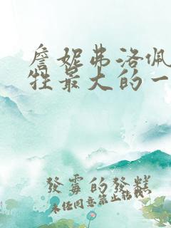 詹妮弗洛佩兹牺牲最大的一部电影