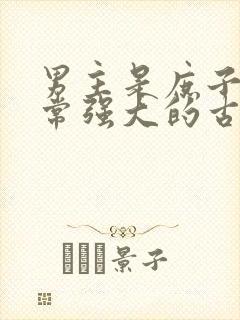 男主是庶子但非常强大的古言