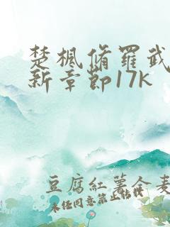 楚枫修罗武神最新章节17k