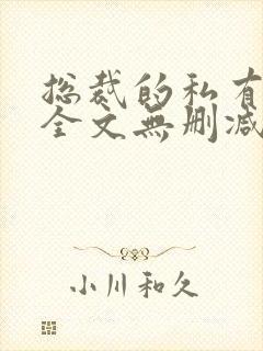 总裁的私有宝贝全文无删减免费阅读