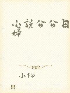 小说公公日儿媳妇