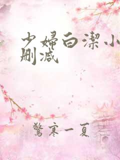 少妇白洁小说无删减