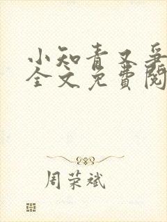 小知青又争又抢全文免费阅读