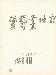 总裁爹地宠上天慕司寒
