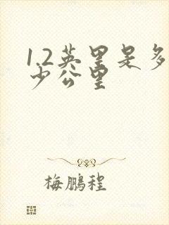 1.2英里是多少公里