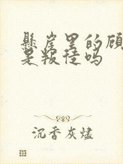 悬崖里的顾秋妍是叛徒吗