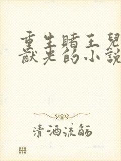 重生赌王儿子何猷光的小说