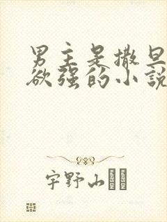 男主是撒旦占有欲强的小说