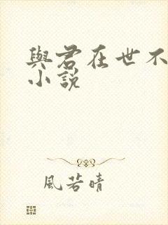 与君在世不相识小说