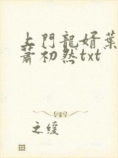 上门龙婿叶辰,萧初然txt