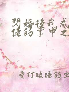 闪婚后我成了大佬的掌中之物》
