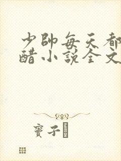 少帅每天都在吃醋小说全文免费阅读