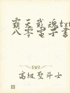 霸天武魂txt八零电子书