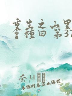 重生之山里懒妇会种田 第37章