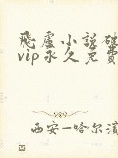 飞卢小说破解版vip永久免费网站