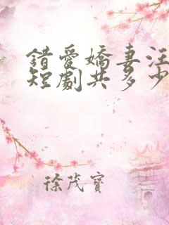 错爱娇妻汪语琴短剧共多少集