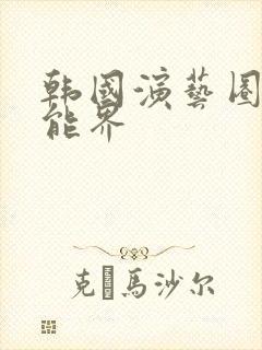 韩国演艺圈 芸能界