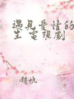 遇见爱情的利先生 电视剧
