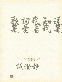 歌词我知道你还是爱着我是什么歌