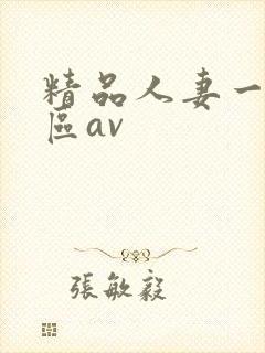 精品人妻一区二区av