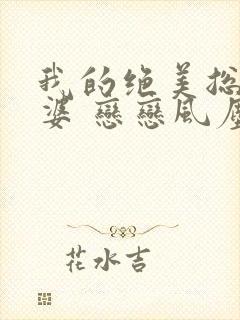 我的绝美总裁老婆 恋恋风尘