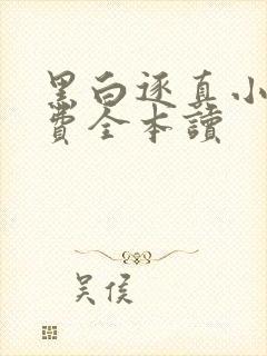 黑白逐真小说免费全本读