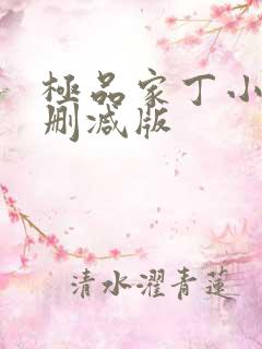 极品家丁小说未删减版