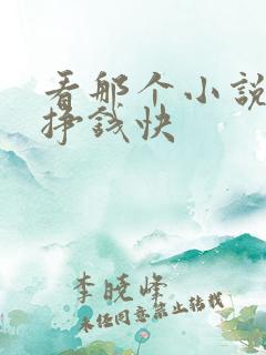 看那个小说软件挣钱快