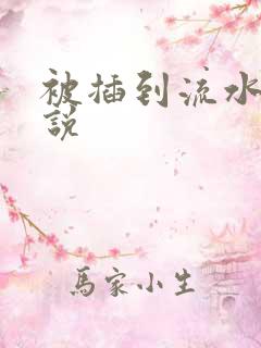 被插到流水的小说