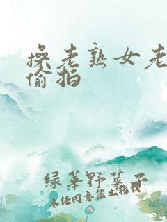 操老熟女老熟妇偷拍