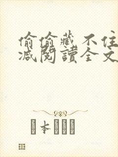 偷偷藏不住无删减阅读全文