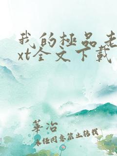 我的极品老婆txt全文下载