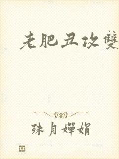 老肥丑攻双性