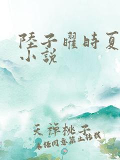 陆子曜时夏韩梦小说