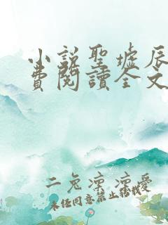 小说圣墟辰东免费阅读全文