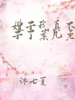 嫂子我真不是傻子了叶凡免费阅读下载