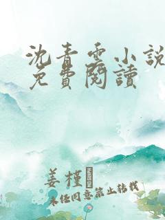 沈青云小说正版免费阅读