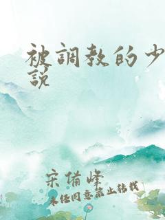 被调教的少妇小说