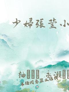 少妇张莹小说