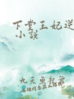 下堂王妃逆袭记 小说