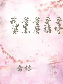 我爸爸哥哥的老婆怎么称呼